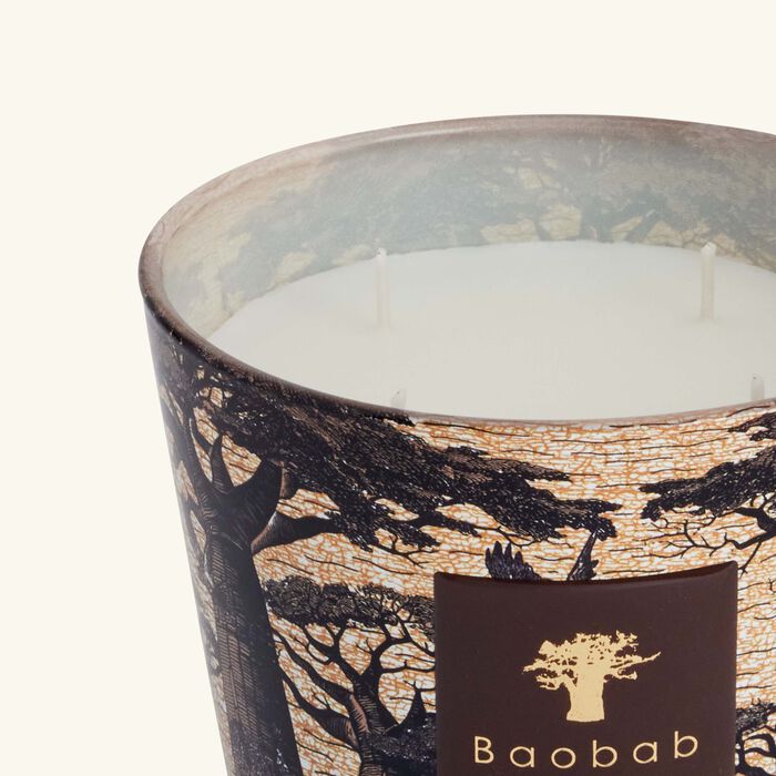 baobab collection sacred trees mankono candle max 10