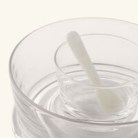 ralph lauren home ethan caviar set