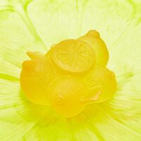 daum citrus centerpiece yellow limited edition