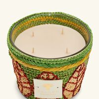 baobab collection ravintsara ravina candle max 10