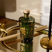 Iris Green Diffuser 500ML edion iris green diffuser 500ml