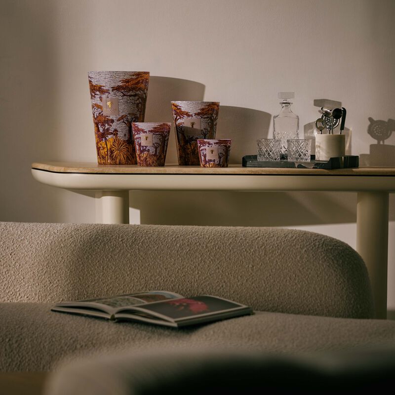 baobab collection sacred trees massasso candle max 35