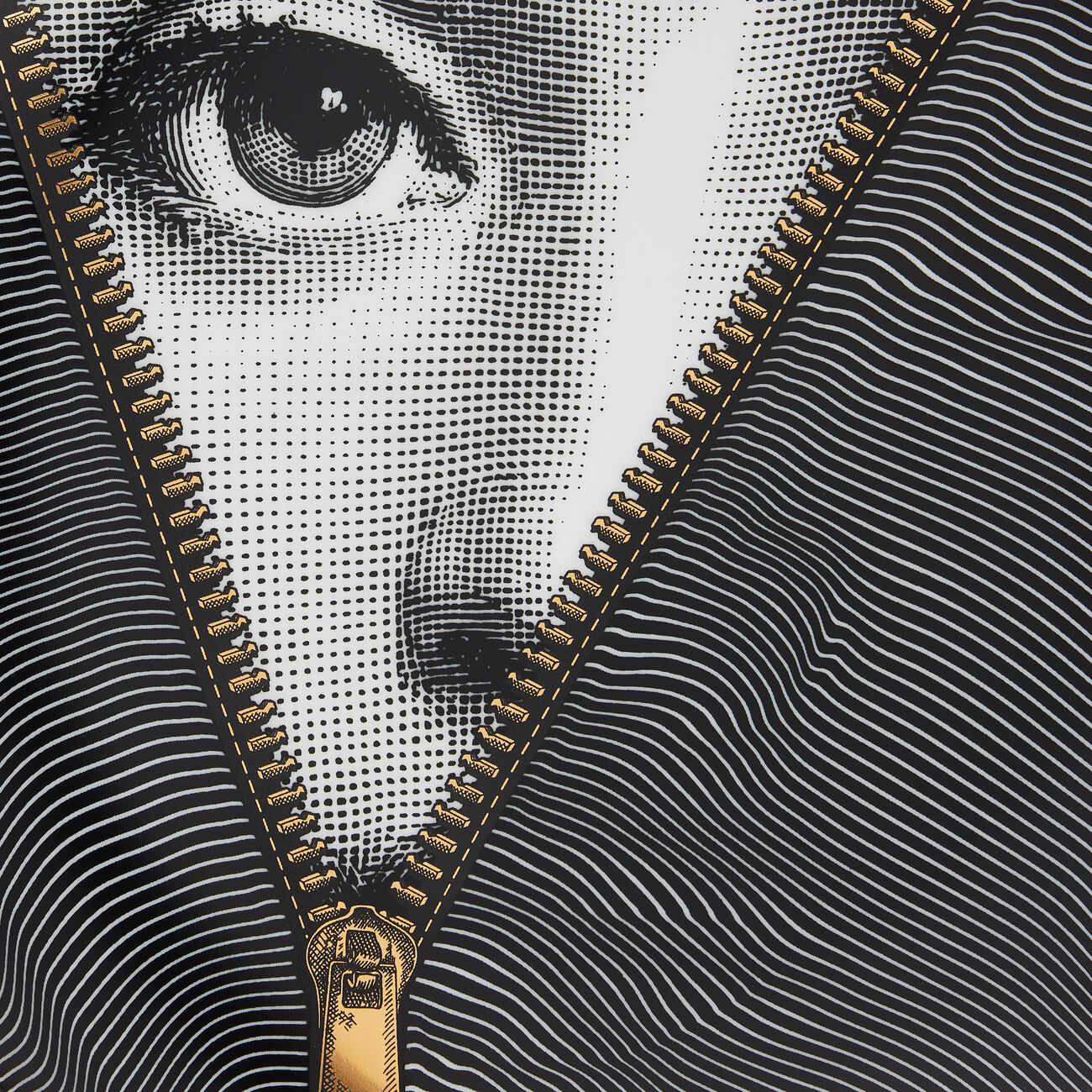 fornasetti tema e variazioni no 401 wall plate