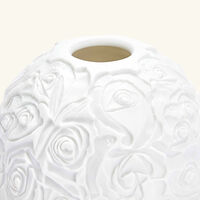 Roses Lithophanie bernardaud roses lithophanie