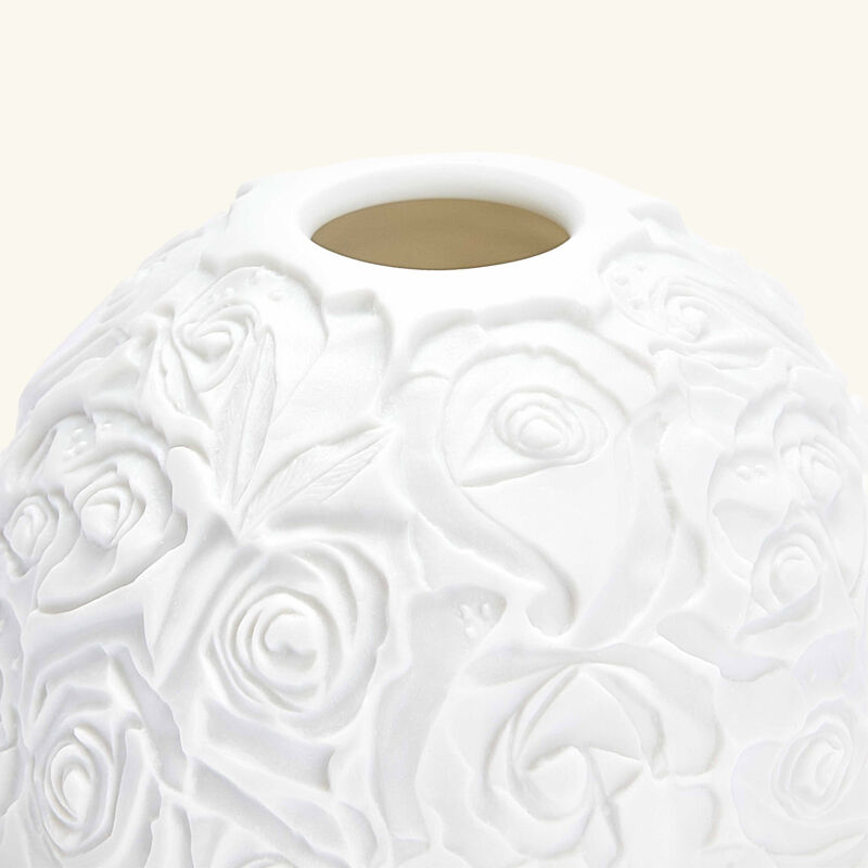 Roses Lithophanie bernardaud roses lithophanie