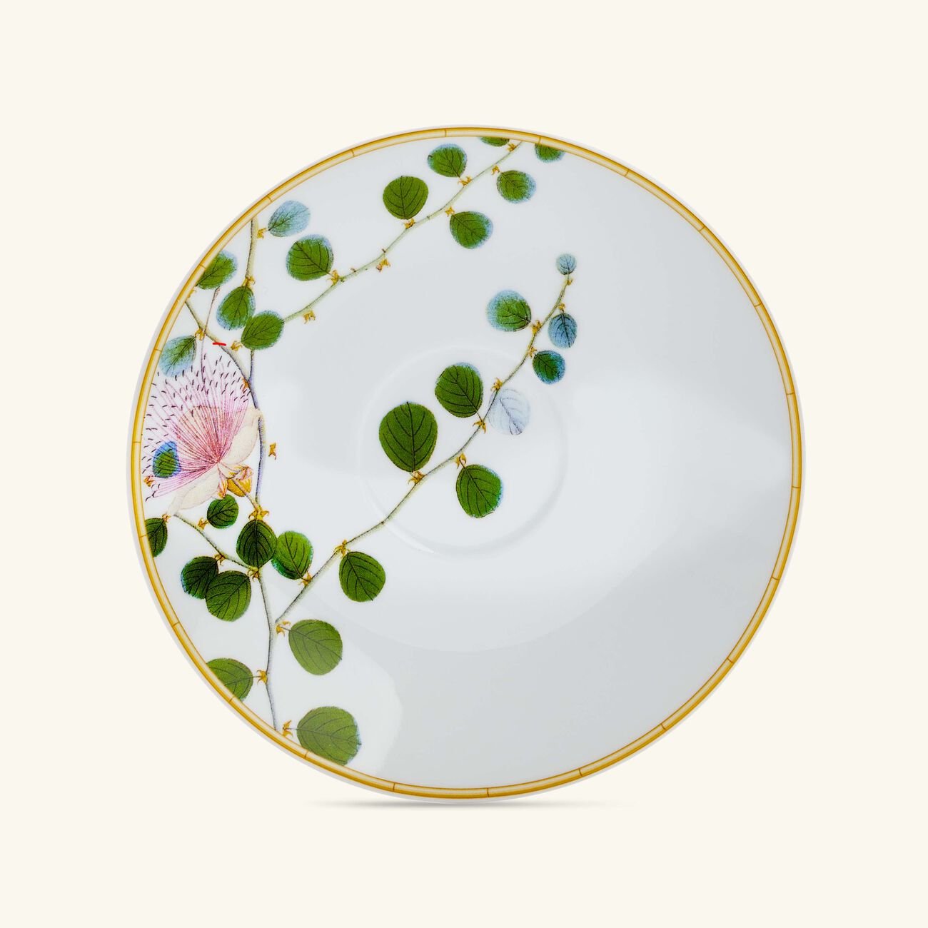 طقم جاردان إنديان مؤلف من 4 فناجين للشاي مع صحونها باللون الأبيض برناردو طقم جاردان إنديان مؤلف من 4 فناجين للشاي مع صحونها باللون الأبيض