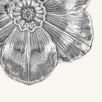 بوتشيلاتي وعاء على شكل زهرة النرجس فضي بحجم صغير جدًا