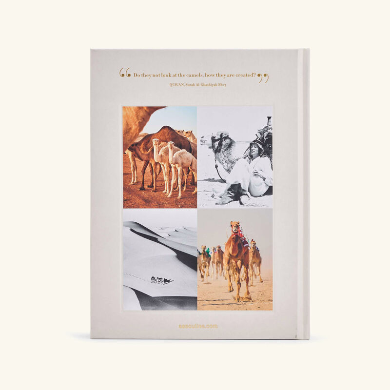 assouline camels from saudi arabia classic book 33x25cm