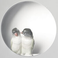 Parrot Shine I Wall Mirror Parrot Shine I Wall Mirror, small