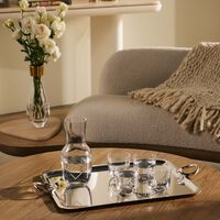ruckl love carafe clear
