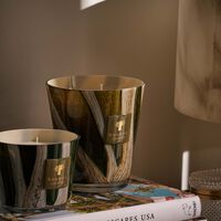 شمعة وودز شيروود المعطرة ماكس 16 باوباب شمعة وودز شيروود المعطرة ماكس 16