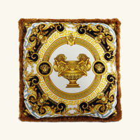 versace la coupe des dieux pillow
