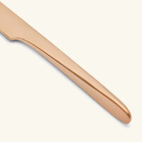 l ame de christofle table knife pink