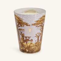 baobab collection sacred trees boukani candle max 24