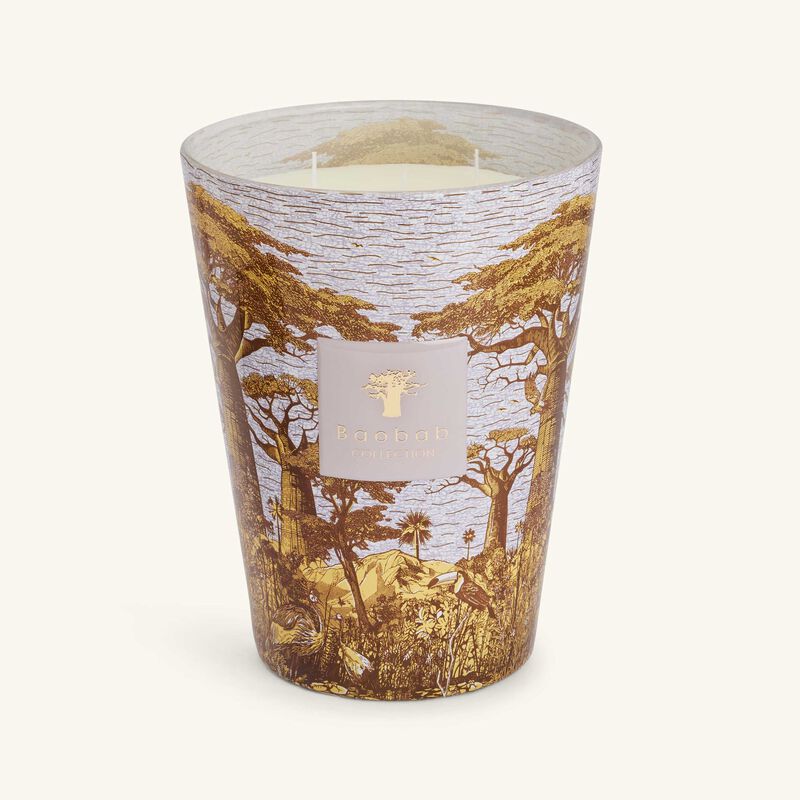 baobab collection sacred trees boukani candle max 24