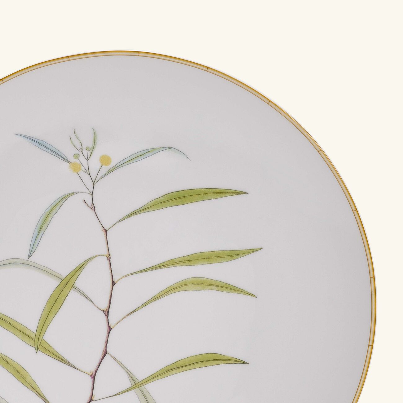 bernardaud jardin indien dinner plate round white 27cm