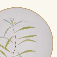 bernardaud jardin indien dinner plate round white 27cm