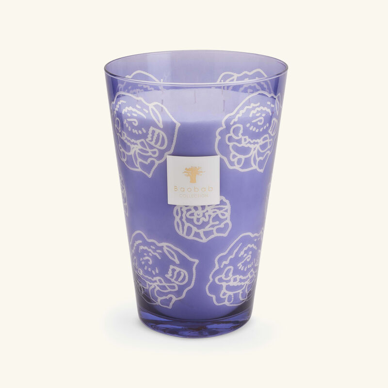 baobab collection collectible roses dark parma candle maxi max