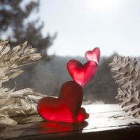 عاطفة القلوب عاطفة القلوب, small