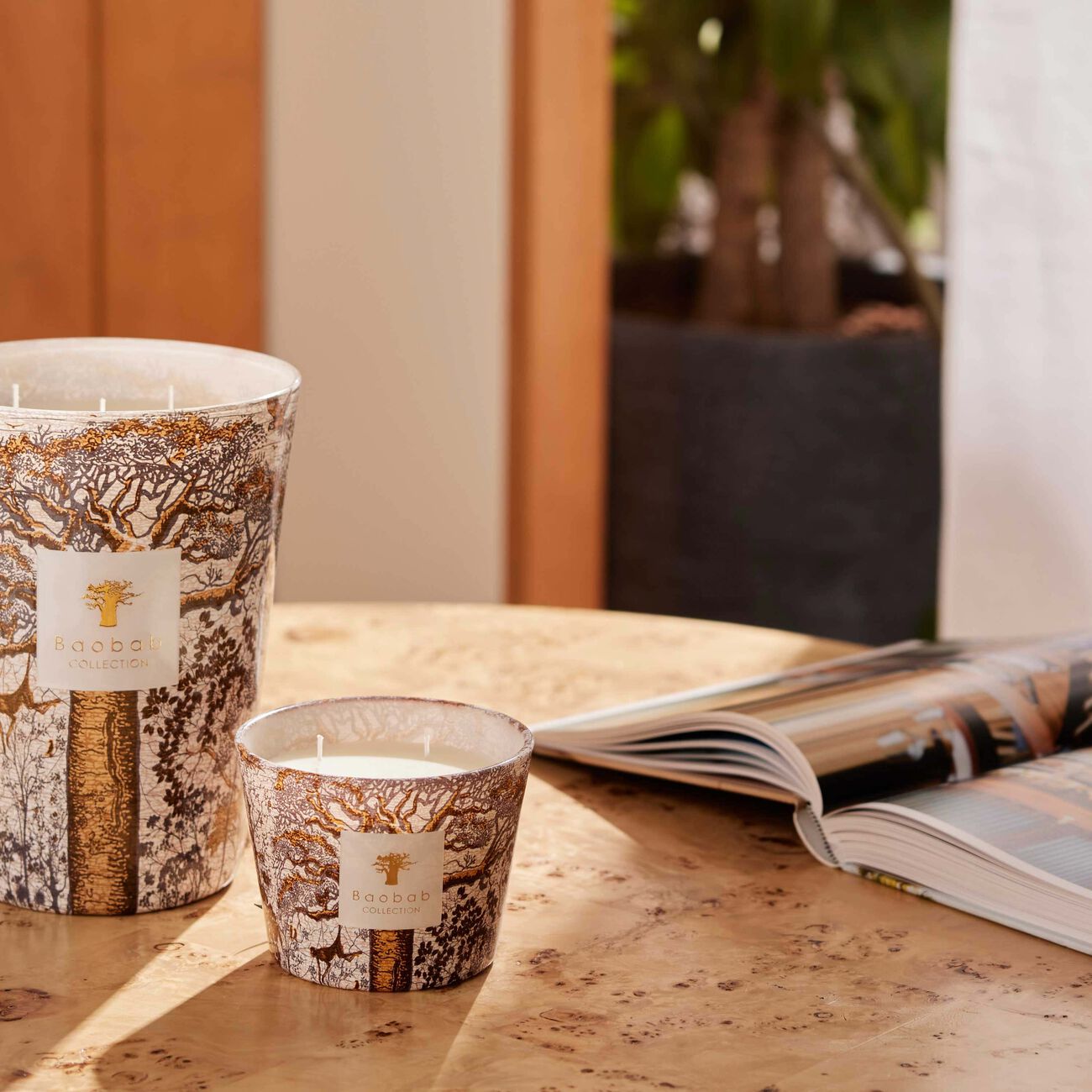 Sacred Trees Dualla Candle Max 10 baobab collection sacred trees dualla candle max 10