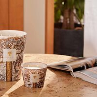 شمعة سيكرد تريز دوالا ماكس 10 باوباب شمعة سيكرد تريز دوالا ماكس 10