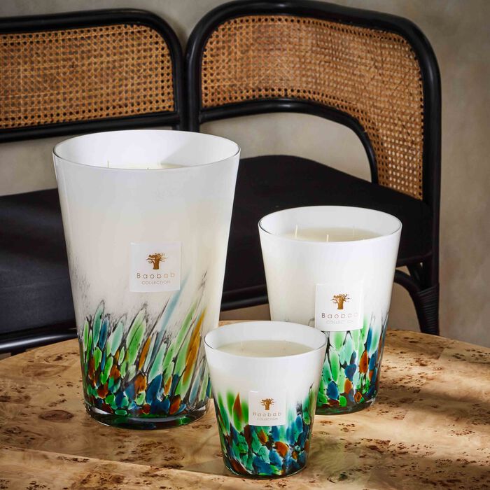 baobab collection rainforest amazonia candle maxi max
