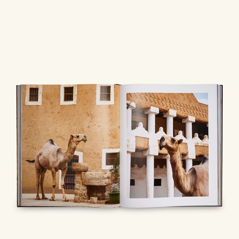 Grace in the Desert The Beauty of Saudi Arabia Camels Book 48x41cm assouline grace in the desert the beauty of saudi arabia camels book 48x41cm