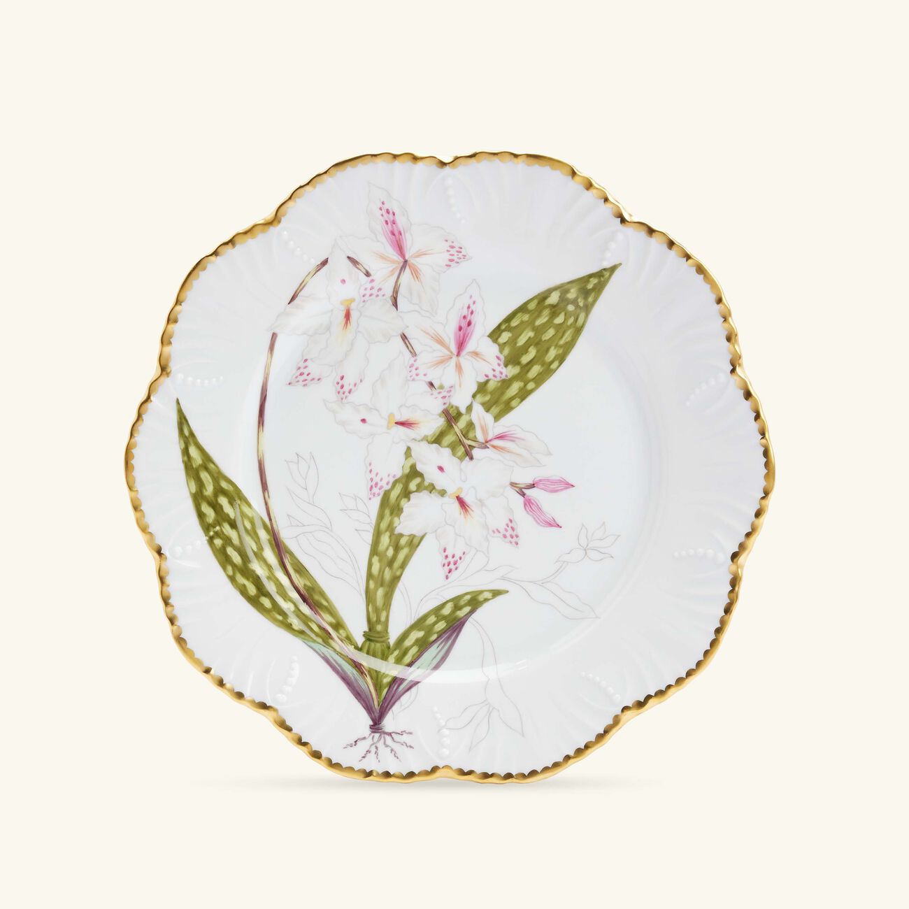 pinto paris histoires d orchidees dinner plate round green 26cm