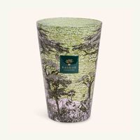 baobab collection sacred trees touba candle max 35