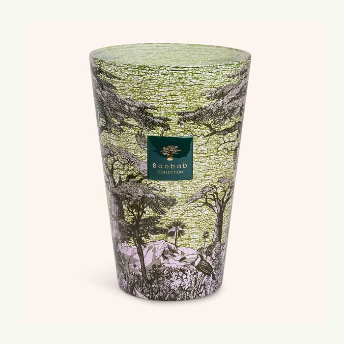 baobab collection sacred trees touba candle max 35