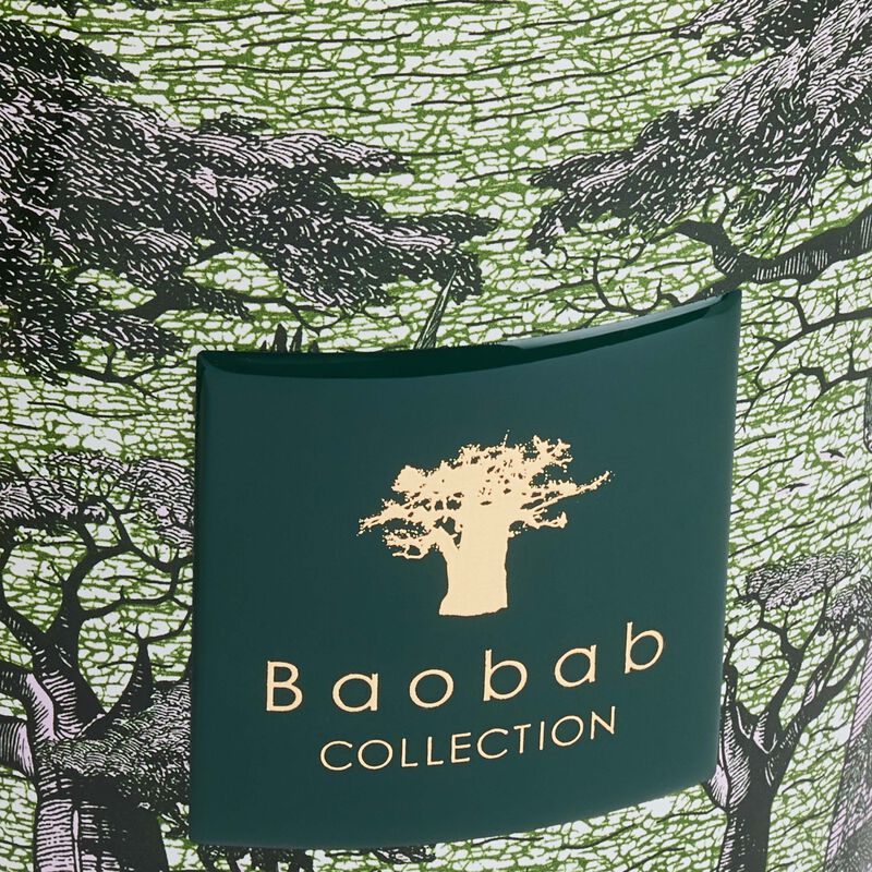 baobab collection sacred trees touba candle max 24