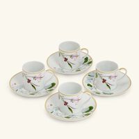 bernardaud jardin indien coffee cup   saucer white set of 4