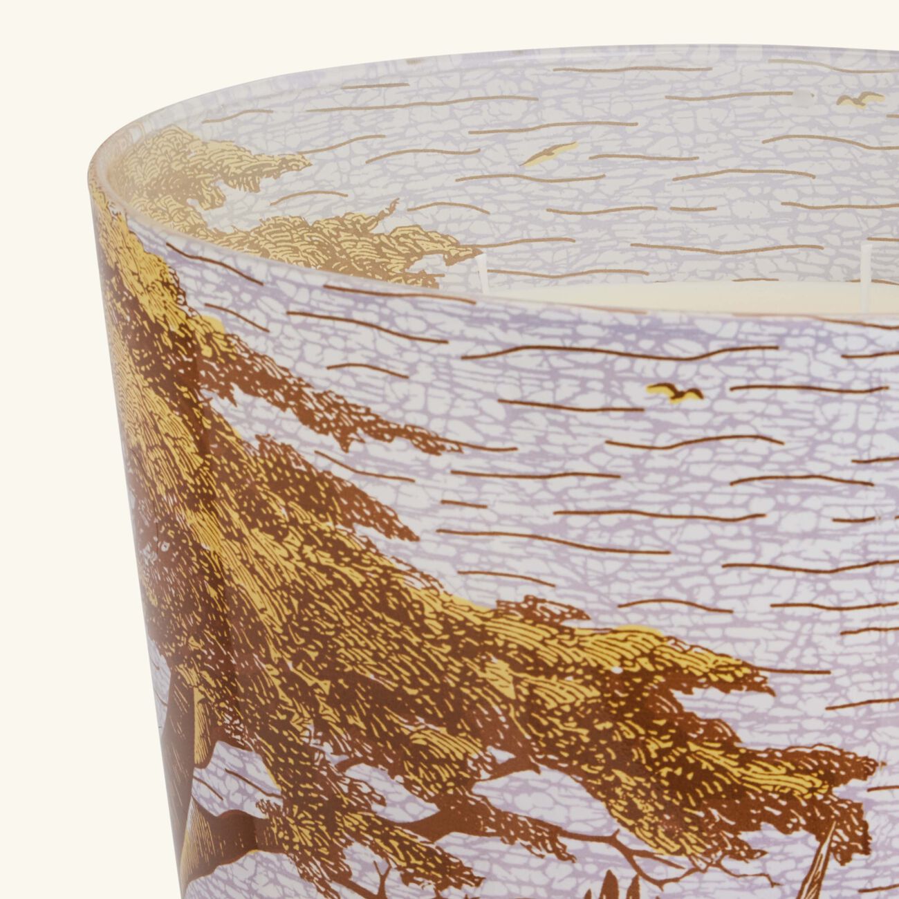 baobab collection sacred trees boukani candle max 35