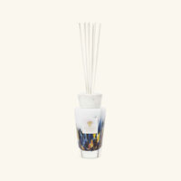 baobab collection rainforest mayumbe diffuser