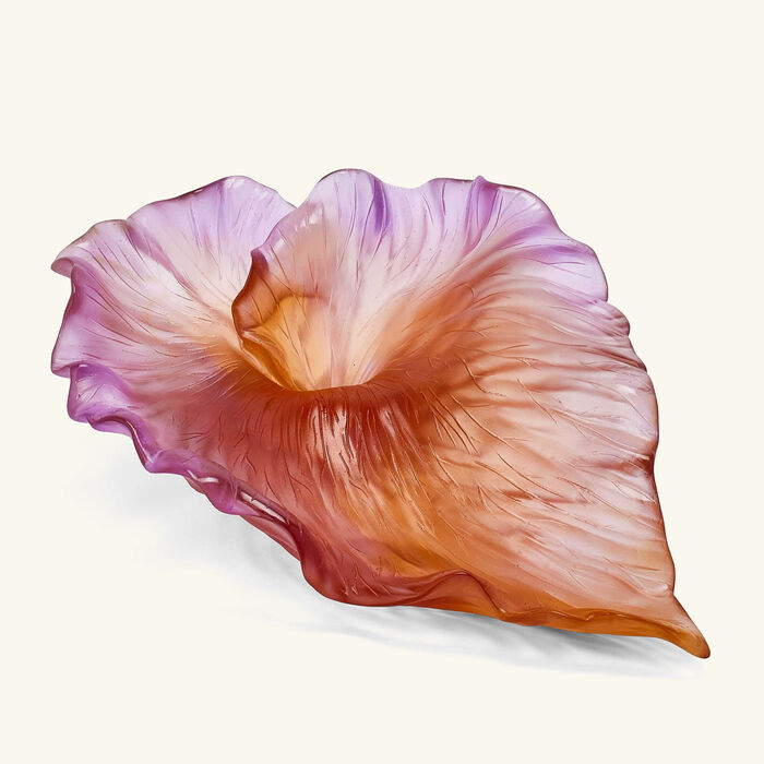 medium