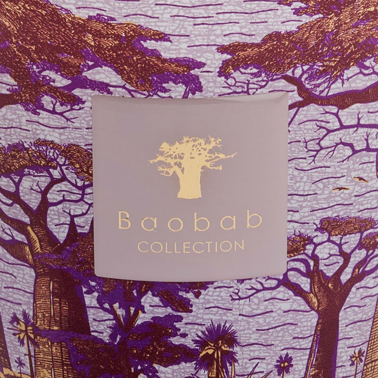 baobab collection sacred trees massasso candle max 16