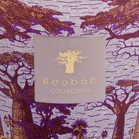 baobab collection sacred trees massasso candle max 16