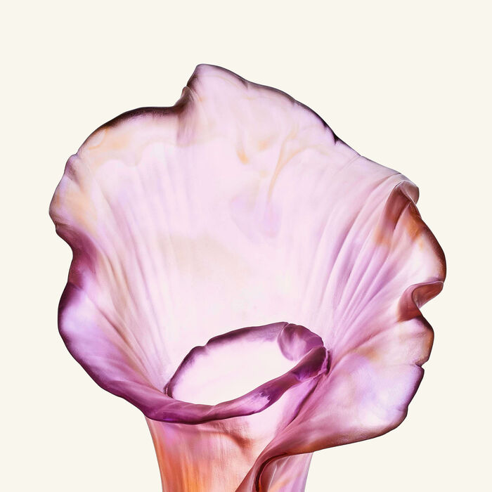 medium
