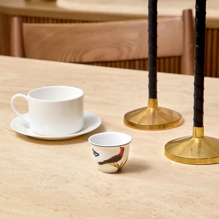 Oiseaux Arabic Coffee Cups Multicolor Set Of 2 bernardaud oiseaux arabic coffee cups multicolor set of 2