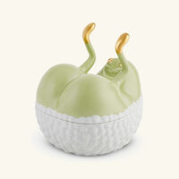 علبة هاس باتس آب خضراء لوبجيه علبة هاس باتس آب خضراء