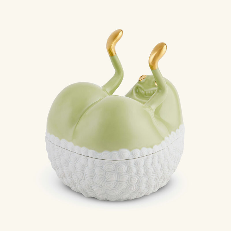 علبة هاس باتس آب خضراء لوبجيه علبة هاس باتس آب خضراء