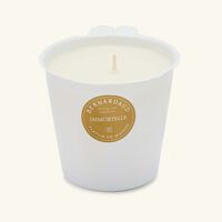 Immortal Candle Refill bernardaud immortal candle refill