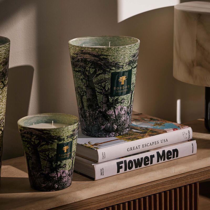 baobab collection sacred trees touba candle max 24