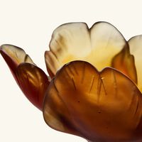 daum tulip centerpiece yellow