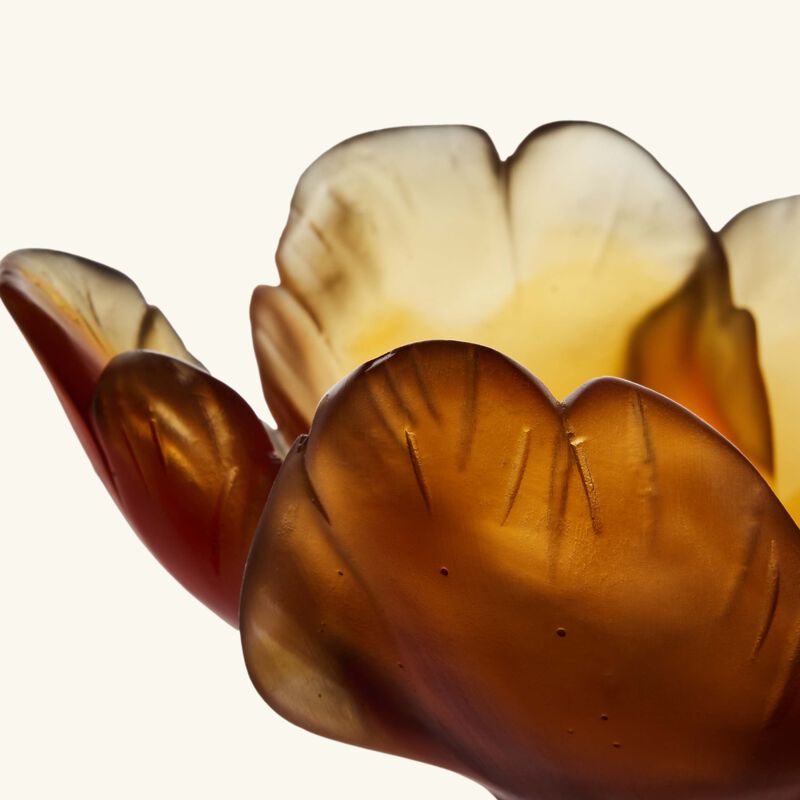 daum tulip centerpiece yellow