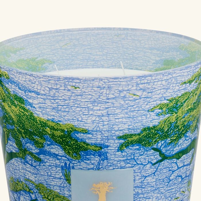 baobab collection sacred trees yarani candle max 35