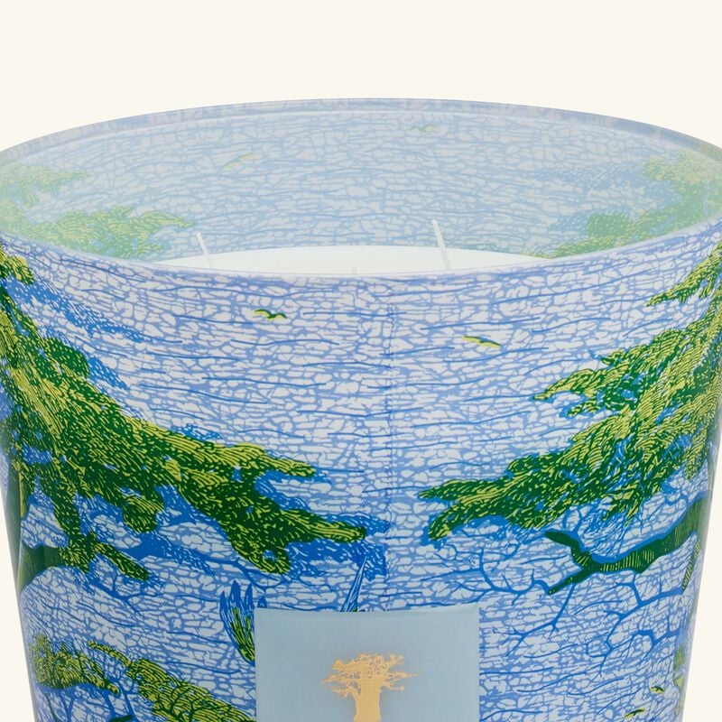 baobab collection sacred trees yarani candle max 35