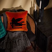 etro new valira embroidered pillow