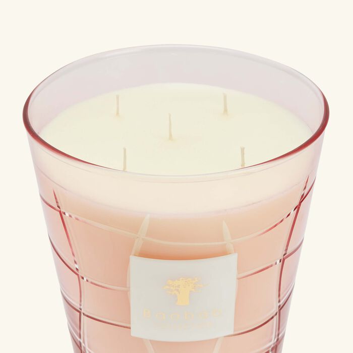 baobab collection waves malibu candle max 24