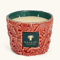 baobab collection brame artemis candle max 10